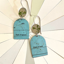 Load image into Gallery viewer, Tropics of Capricorn & Cancer Earrings