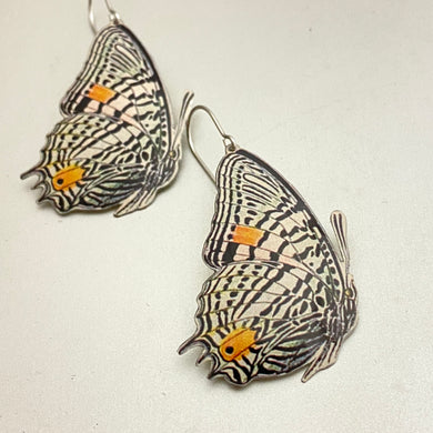 Zebra Butterflies Tin Earrings