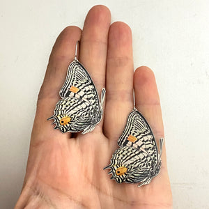 Zebra Butterflies Tin Earrings