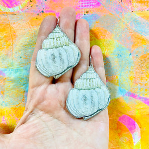 Moon Shells Tin Earrings