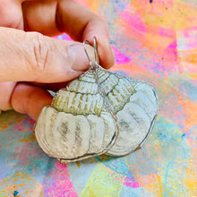 Load image into Gallery viewer, Moon Shells Tin Earrings