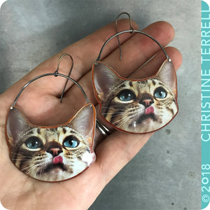 Happy Tabby Cats Upcycled Tin Earrings