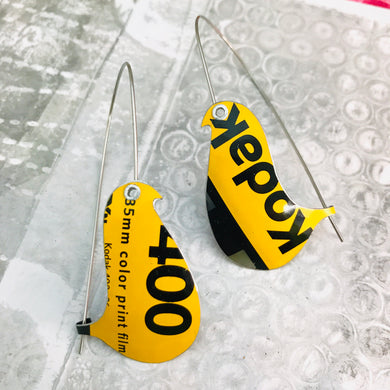 Kodak 400 Birds on a Wire Upcycled Tin Earrings